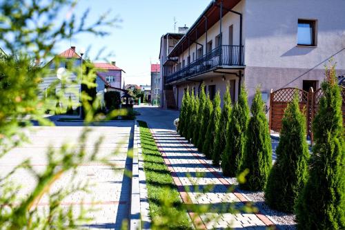 una strada con una fila di alberi accanto a un edificio di Villa Centrum Młodości a Augustów
