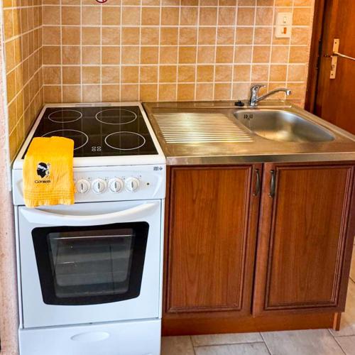 une cuisine avec une cuisinière et un évier dans l'établissement Domaine Mare e Monti - T1 Les Palmiers vue mer, à Albitreccia