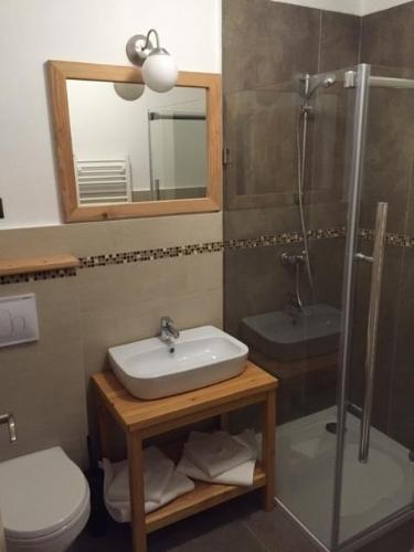 a bathroom with a sink and a shower and a toilet at Talhaus in Vişeu de Sus