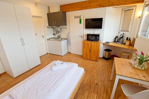 Kuchyň nebo kuchyňský kout v ubytování Boardinghouse Steinen