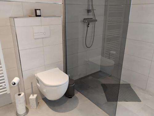 a bathroom with a toilet and a glass shower at NEU! Ferienwohnung Wiesenruh in Neßmersiel