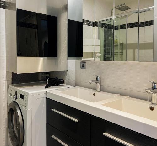 une salle de bain avec un lavabo et une machine à laver dans l'établissement Imperial Ember 2 min du lac, à Annecy