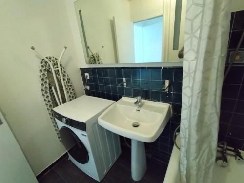 une salle de bain avec un lavabo et un miroir dans l'établissement Cozy 1 bedroom Apartment La Defense, à Courbevoie