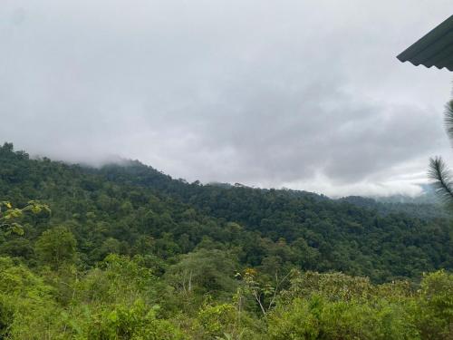 a view of a mountain covered in trees and clouds at Econative Baru Toucan Cabin con vista al bosque de Platanillo in Platanillo