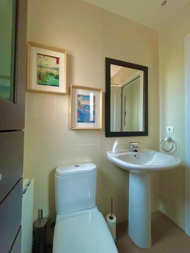 a bathroom with a sink and a toilet and a mirror at Casa Rural Teja Vieja in Duruelo
