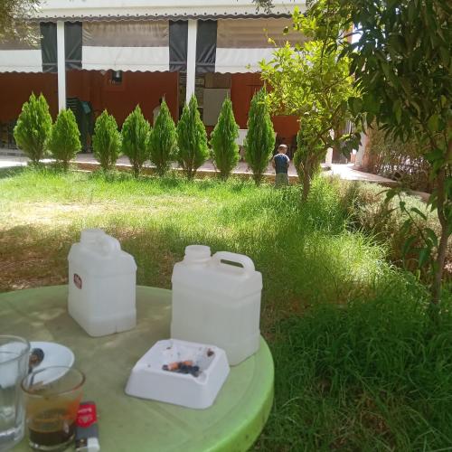 Un jardín fuera de Hôtel flora