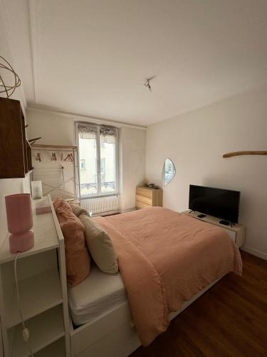 une chambre avec un grand lit et une télévision dans l'établissement Appartement situé en plein coeur de Paris, à Paris
