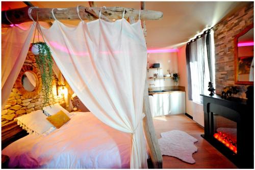 a bedroom with a bed with a canopy at Duplex Safari jusqu'à 4 personnes, Spa XXL, day use, cinéma, cascade et lit sous les arbres in Bourgoin