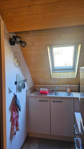 une petite cuisine avec un évier et une fenêtre dans l'établissement Les mascottes, à Luz-Saint-Sauveur
