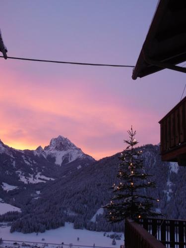 a christmas tree in the mountains at sunset at Berggasthaus Agritur Moserhof in Braies