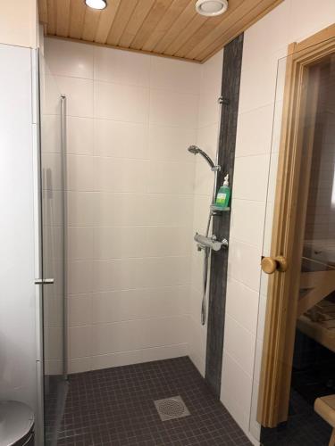 a shower with a glass door in a bathroom at Kylpyla SPA, Saimaa Villa 532 in Imatra