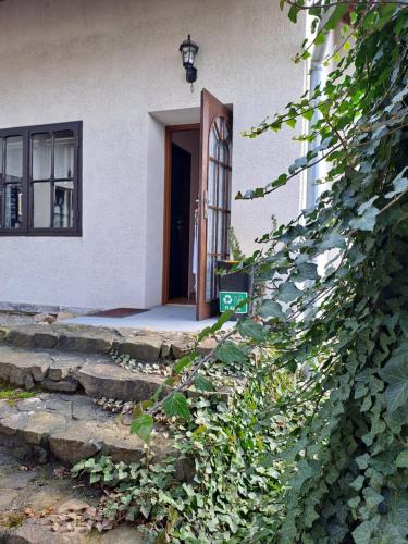 a front door of a house with a bunch of ivy at Apartmán Úlehla 2 in Zlín