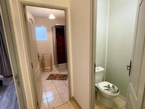 a bathroom with a toilet and a door open at Gîte de plain-pied en Touraine avec grand jardin et parking - FR-1-381-613 in Courcelles-de-Touraine