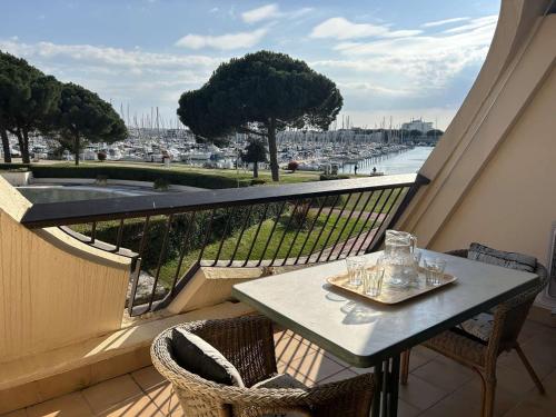 Studio cabine climatisé, piscine, 4 couchages, Port Camargue - FR-1-250-302