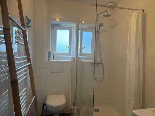 une salle de bain avec douche et toilettes et une fenêtre dans l'établissement Maison de charme à Perros-Guirec, proche plage - FR-1-542-69, à Perros-Guirec