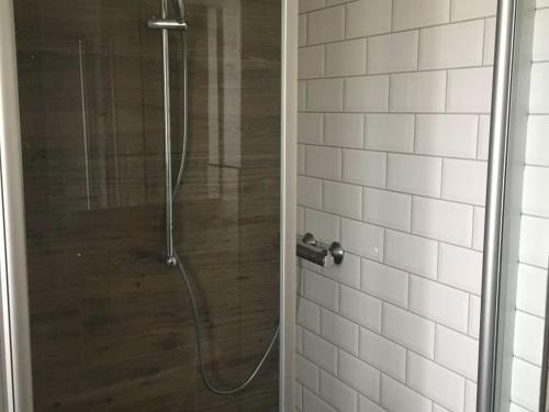 a shower with a glass door in a bathroom at Thölkes Haus am Meer in Butjadingen