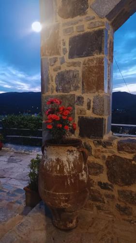 a stone wall with a vase with red flowers in it at Roza Stone Studio & Suite in Goníai