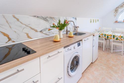 Η κουζίνα ή μικρή κουζίνα στο Rooms Močilnik