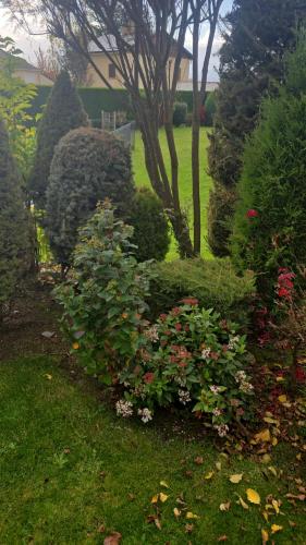 Cal Más de la Vanera