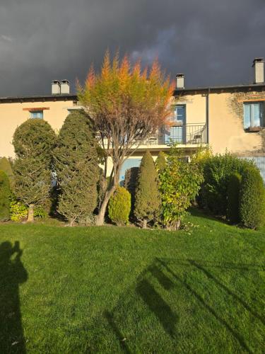un arbre dans une cour devant une maison dans l'établissement Cal Más de la Vanera, à Nahuja