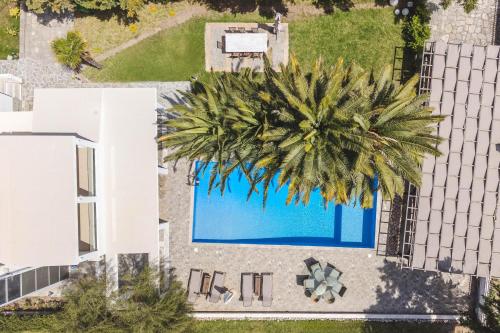an overhead view of a swimming pool with a palm tree at Albero Villa Polychrono in Polychrono