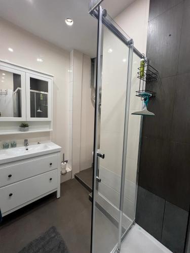 une salle de bain avec une douche en verre et un lavabo dans l'établissement Coquette studio YourHostelper, à Nice