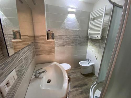 une salle de bain avec un lavabo et des toilettes dans l'établissement Montgenèvre - Appartement sur les pistes 4-6 pers., balcon sud-ouest, animaux acceptés - FR-1-445-107, à Montgenèvre