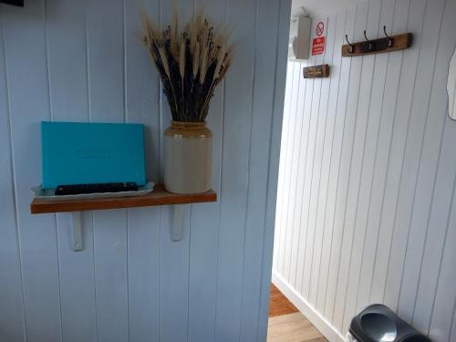 a vase with a laptop on a shelf on a wall at Hillside Camping Pods and Shepherd's Hut in Wick