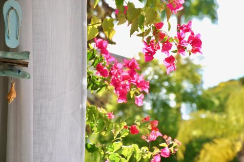 a bunch of pink flowers on the side of a window at Aquamarine - Gemstone Getaway in Vale do Lobo