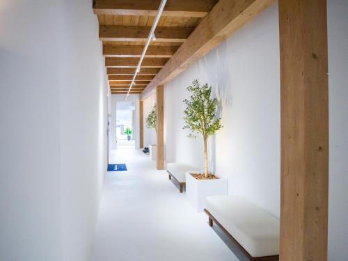 a hallway with benches and a potted tree on the wall at PENTHOUSE N`4 - Stylish Apartment with Rooftop Whirlpool Access in Tyrol, presented by AlpenLuxus in Kramsach