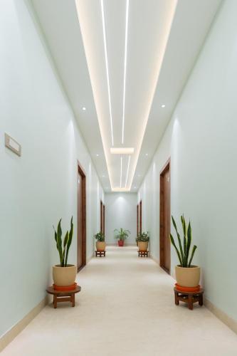 an empty corridor with potted plants in an office building at Hotel Shiva Nilay Inn in Gorakhpur