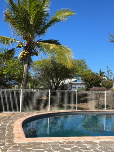 a swimming pool with a palm tree in front of a fence at Studio & piscine in La Saline les Bains