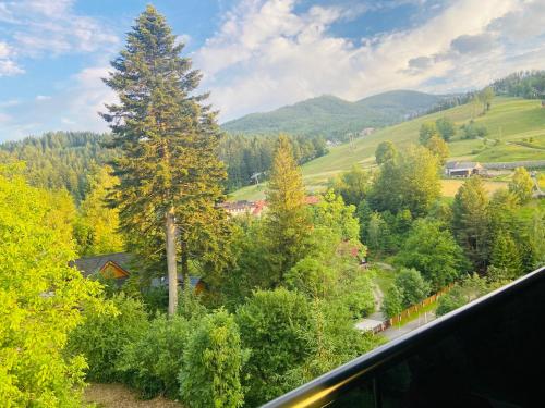 Apartament Widoknastok