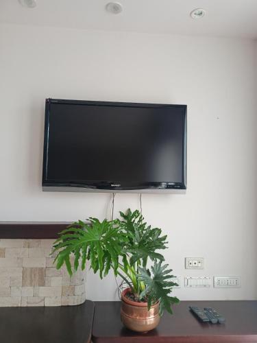 a flat screen tv hanging on a wall with a plant at Casa Vanessa Appartamento in Villa - Humanitas in Pieve Emanuele
