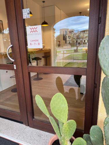 a cactus in a pot in front of a door at Domo Grace in Porto San Paolo