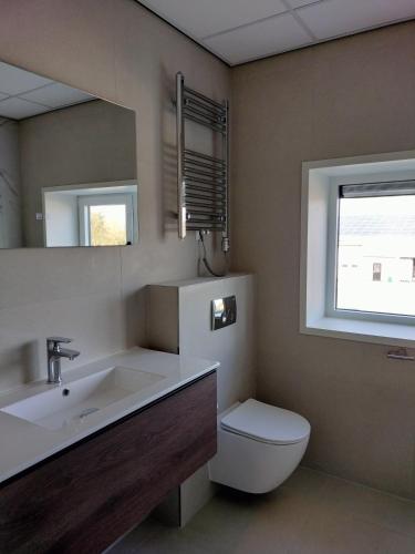 a bathroom with a sink and a toilet and a mirror at Blom studio's in Hillegom