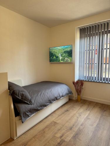 une chambre avec un lit et une fenêtre dans l'établissement Appartement centre ville, à Lure