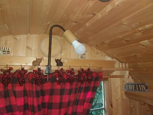 deux chats assis sur un rideau dans une cabine dans l'établissement Tonneau Vacances Insolites, à Véria