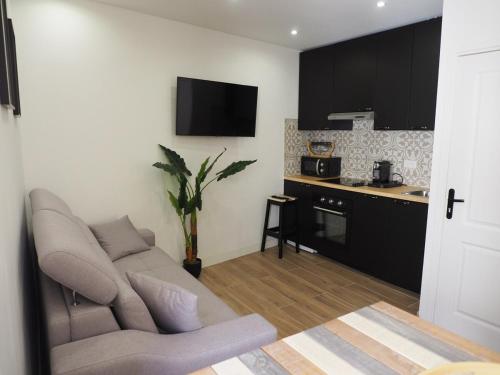 un salon avec un canapé et une cuisine dans l'établissement Charmant studio, quartier historique, à Cannes