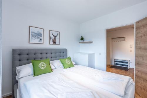 Appartement Ski & Bike photo 2