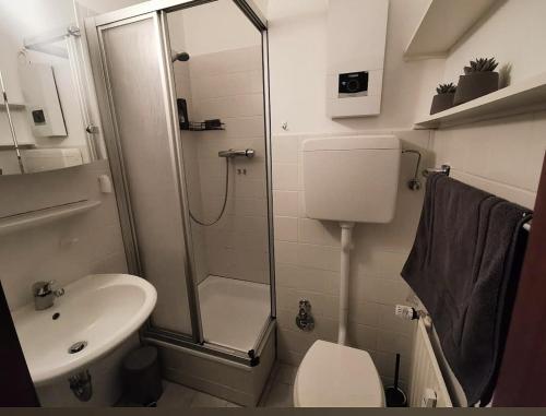 a bathroom with a shower and a toilet and a sink at Grüne Glocke in Altenau