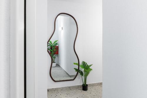 a mirror hanging on a wall with a plant at Garden Suites in Thessaloniki
