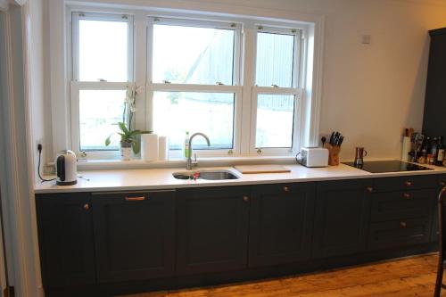 a kitchen counter with a sink and two windows at Country home with a Pub, Restaurant & Brewery onsite ! in Rathcoffey