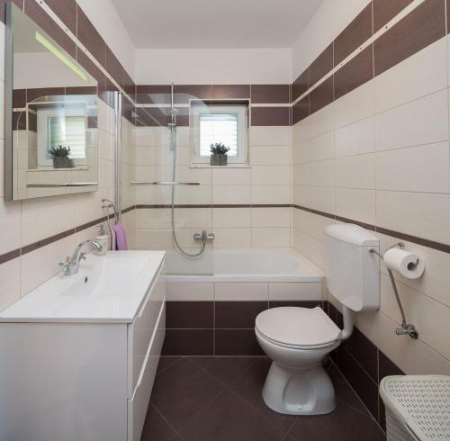 a bathroom with a toilet and a sink and a shower at Seafront Villa Noah with heated pool in Pridraga