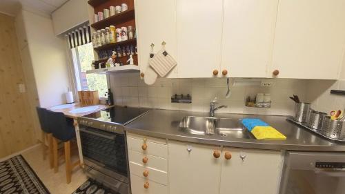 Η κουζίνα ή μικρή κουζίνα στο Miramar2 Mariehamn Åland