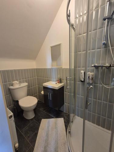 Koupelna v ubytování Ballinasloe Guest House in the Heart of the Country