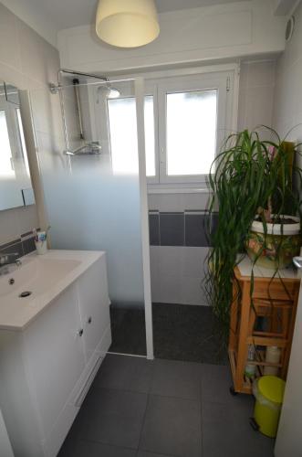 La salle de bains est pourvue d'un lavabo, d'un miroir et d'une plante. dans l'établissement PHOENIX - Appartement 4 personnes avec superbe terrasse, clim et parking le port de Nice, à Nice