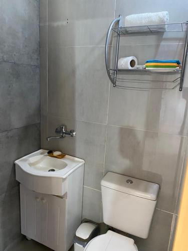 a small bathroom with a toilet and a sink at Casita el Emir in Plottier