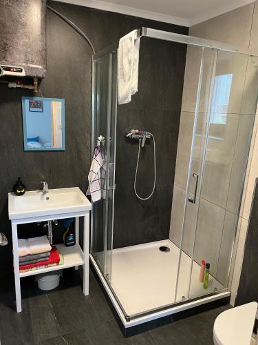 a bathroom with a shower and a sink at Venkovský odpočinek in Hroznětín