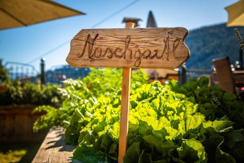 a sign in a bed of lettuce in a garden at Dorfergut in Weisspriach
